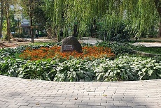 Новая жизнь старой брусчатки