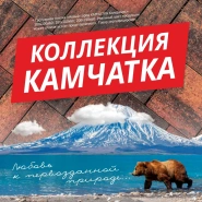 Тротуарная брусчатка колормикс